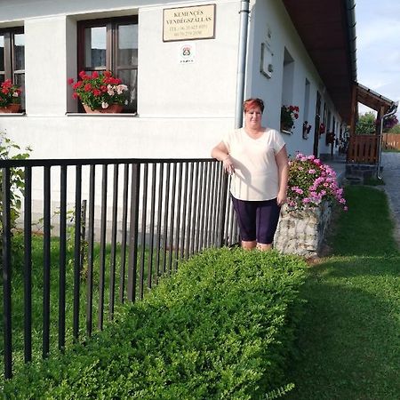 Kemences Vendeghaz Hotel Mikohaza Eksteriør billede